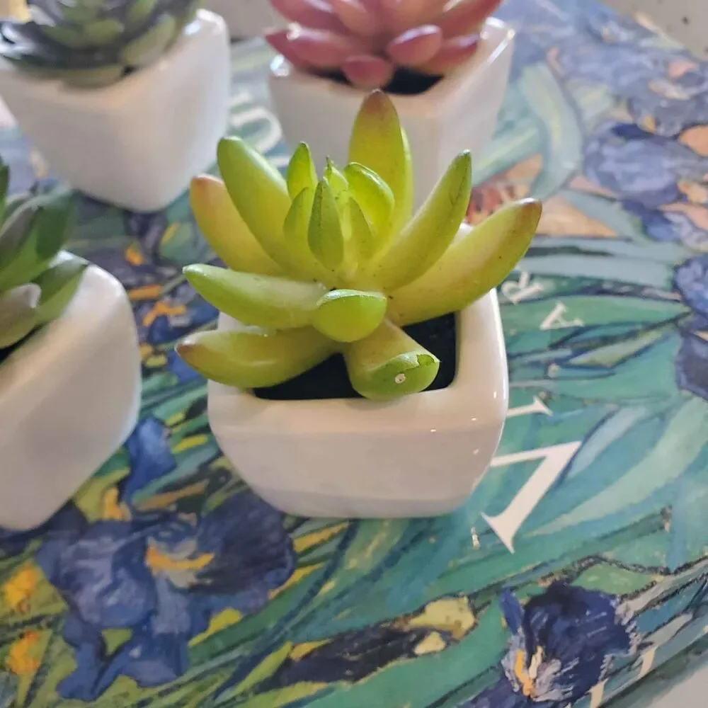N/A faux potted